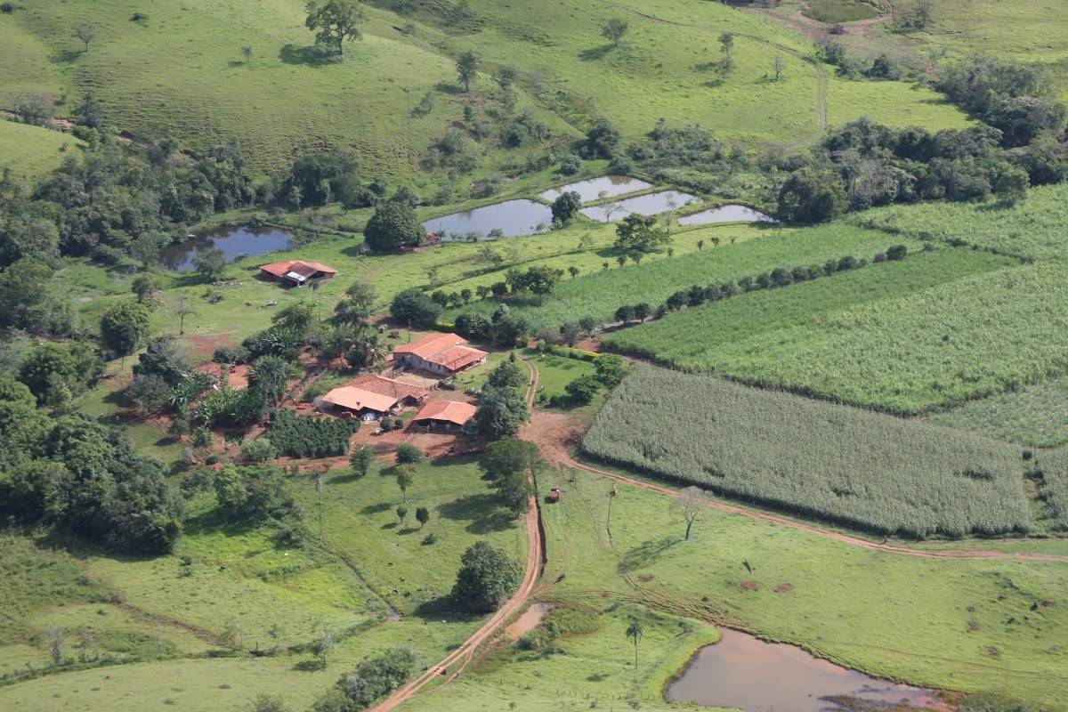 Registro de Marca Abadia dos Dourados