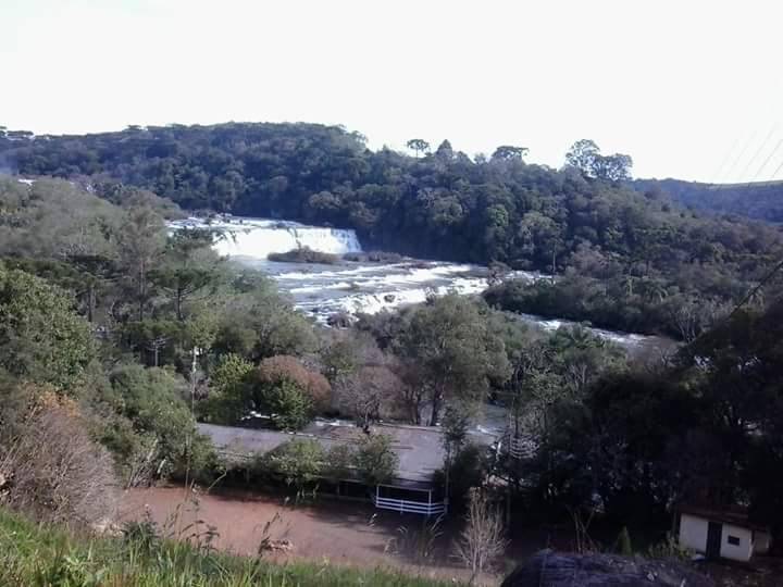 Registro de Marca Abelardo Luz