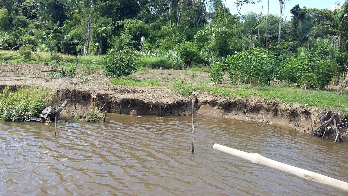 Registro de Marca Afuá