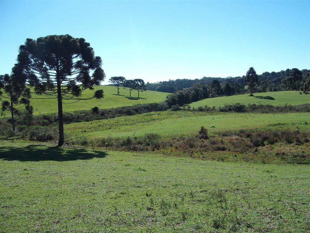 Registro de Marca Água Santa