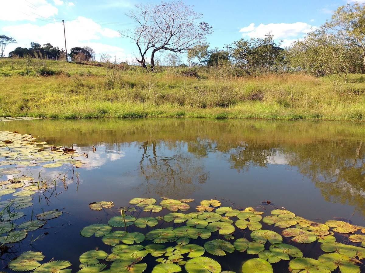 Registro de Marca Alfredo Marcondes