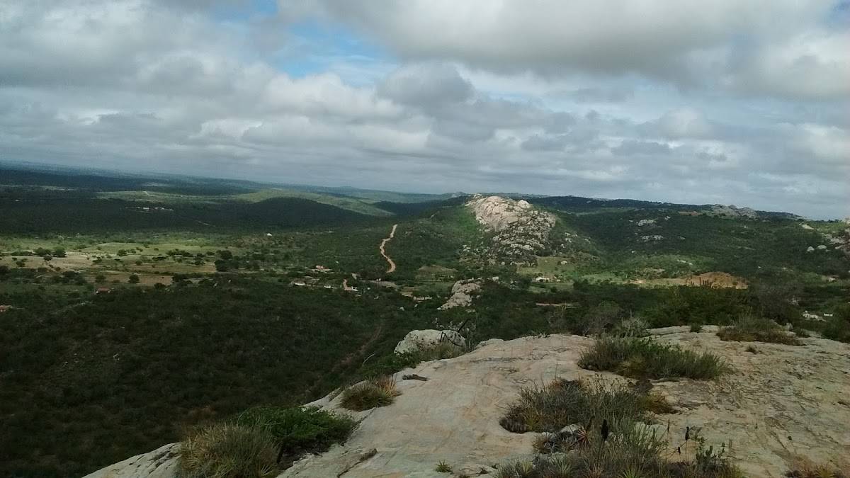 Registro de Marca Algodão de Jandaíra
