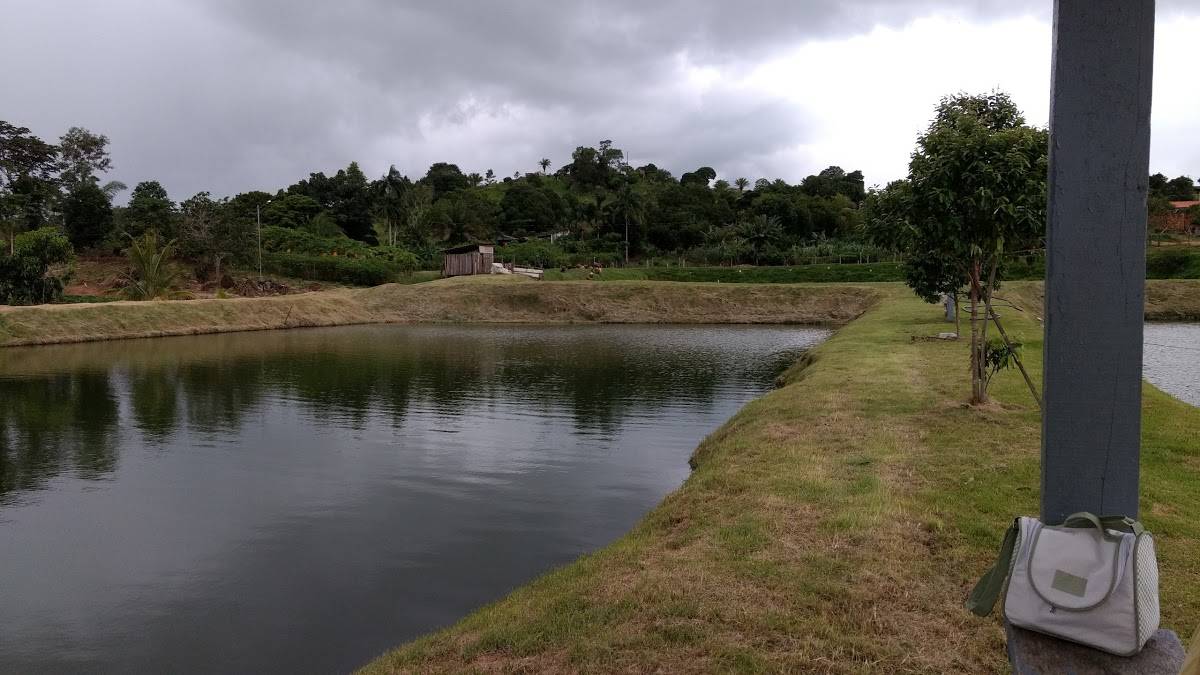 Registro de Marca Alta Floresta D'Oeste