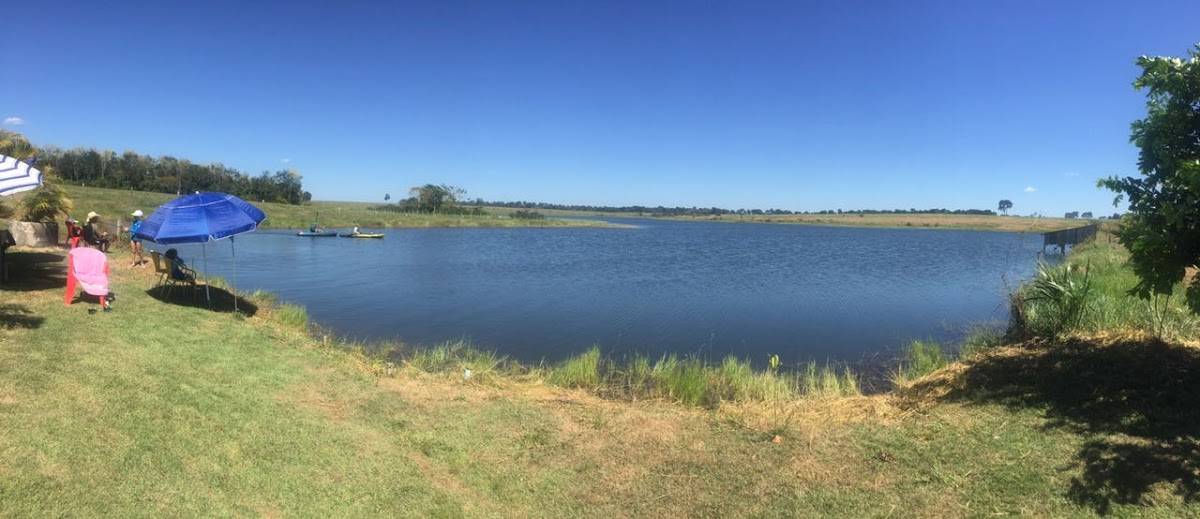 Registro de Marca Alta Floresta