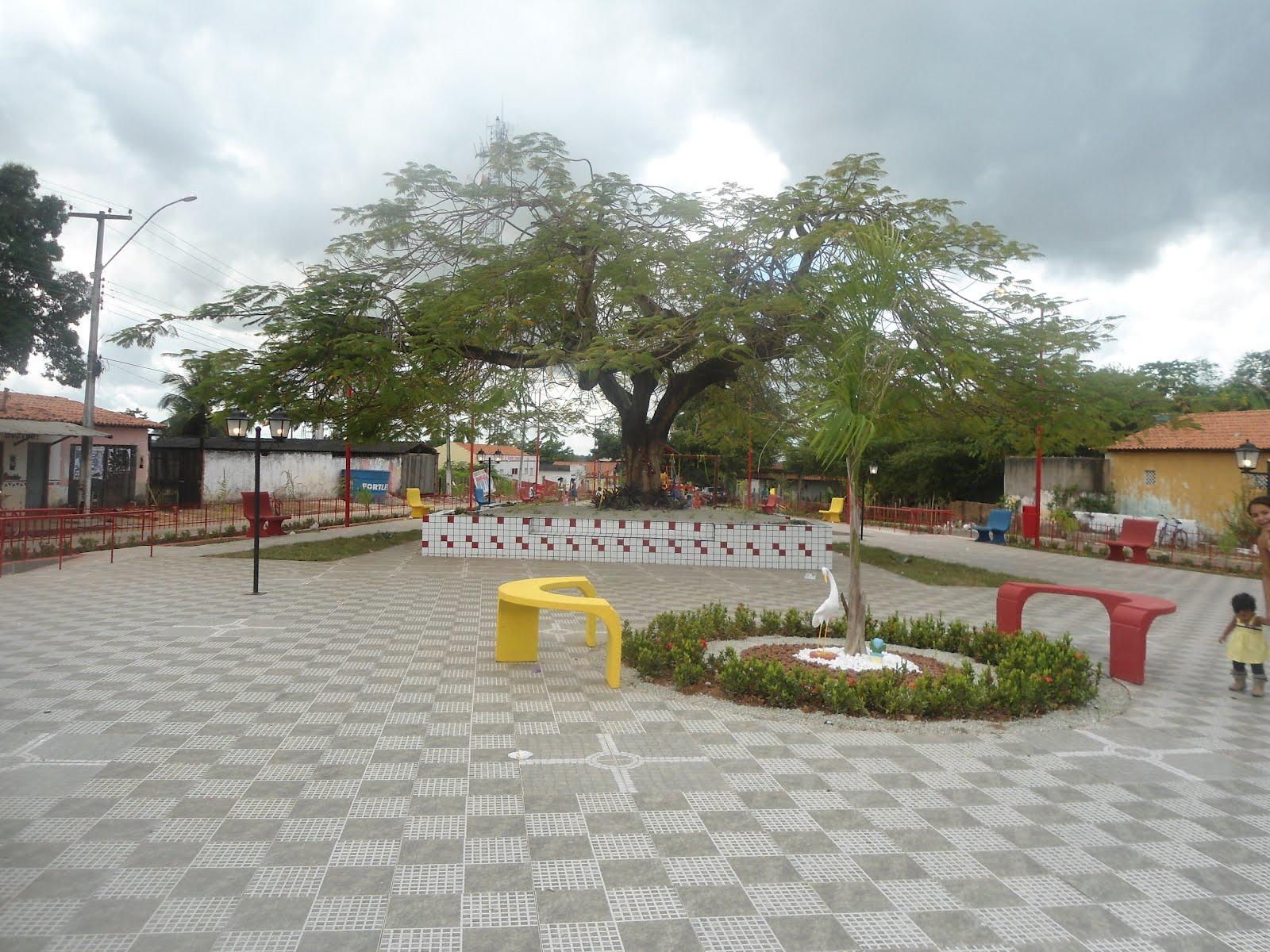 Registro de Marca Altamira do Maranhão