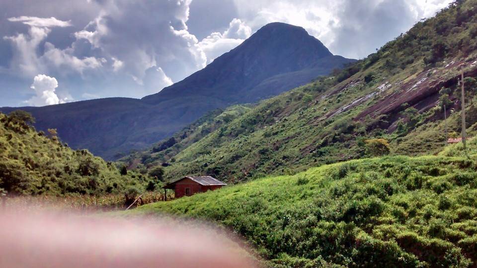 Registro de Marca Alvarenga