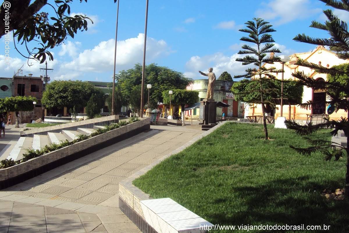 Registro de Marca Amaraji