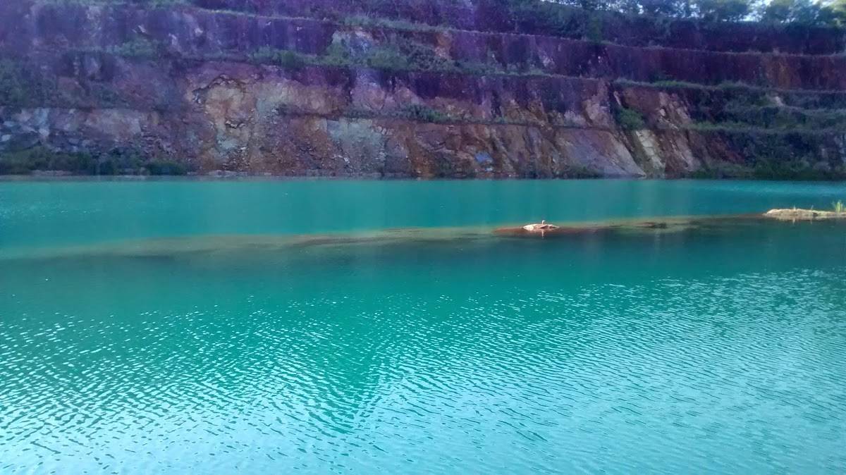 Registro de Marca Amaralina