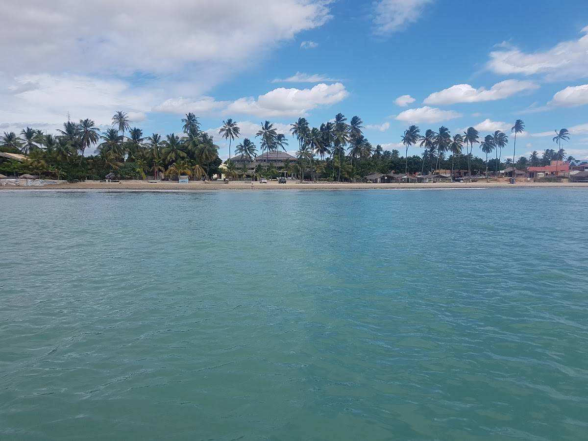 Registro de Marca Amontada