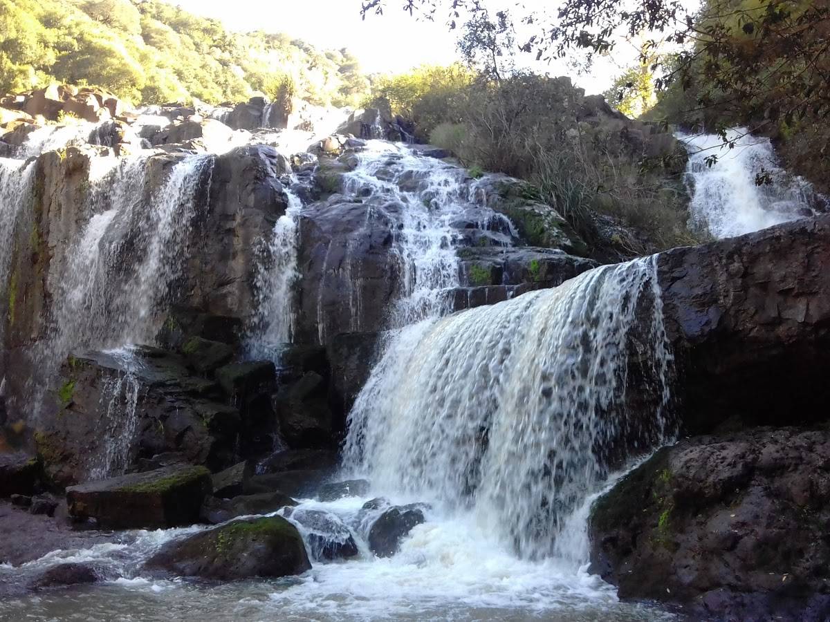 Registro de Marca André da Rocha