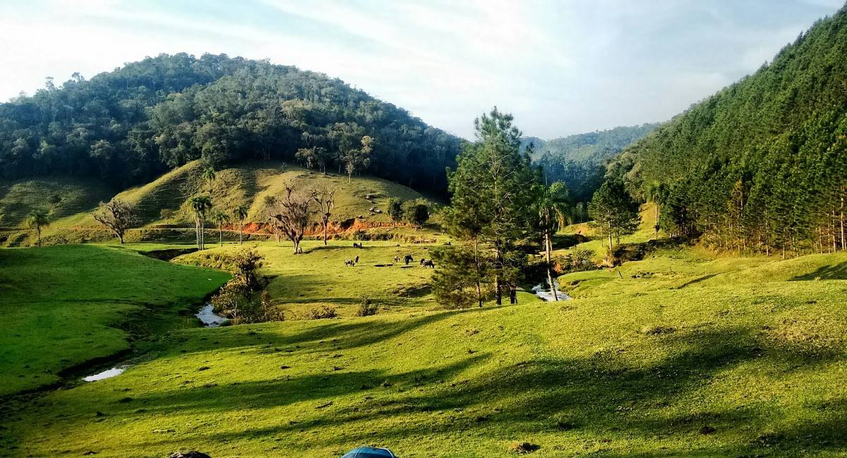 Registro de Marca Angelina