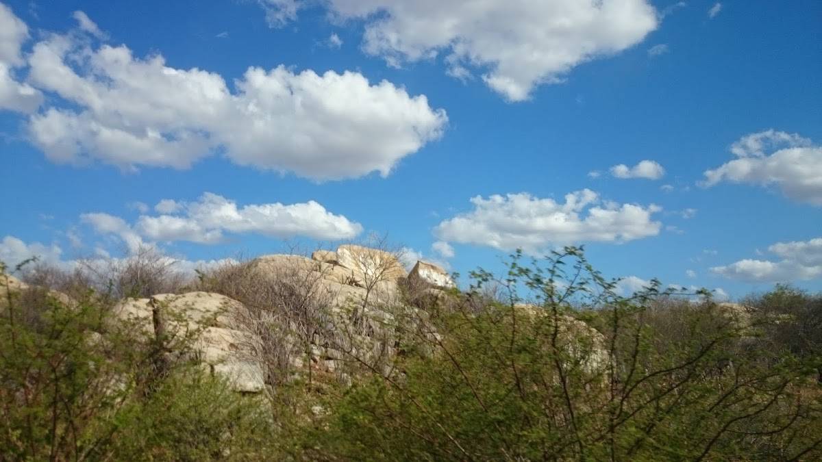 Registro de Marca Angicos