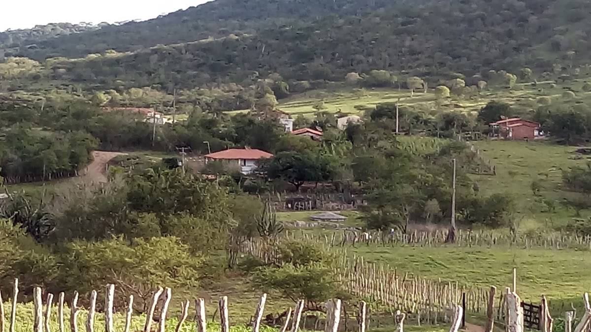 Registro de Marca Anguera