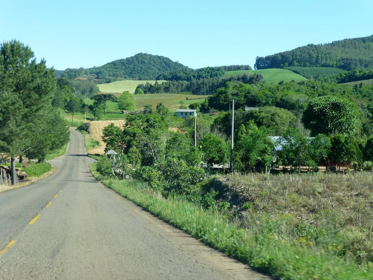 Registro de Marca Anta Gorda