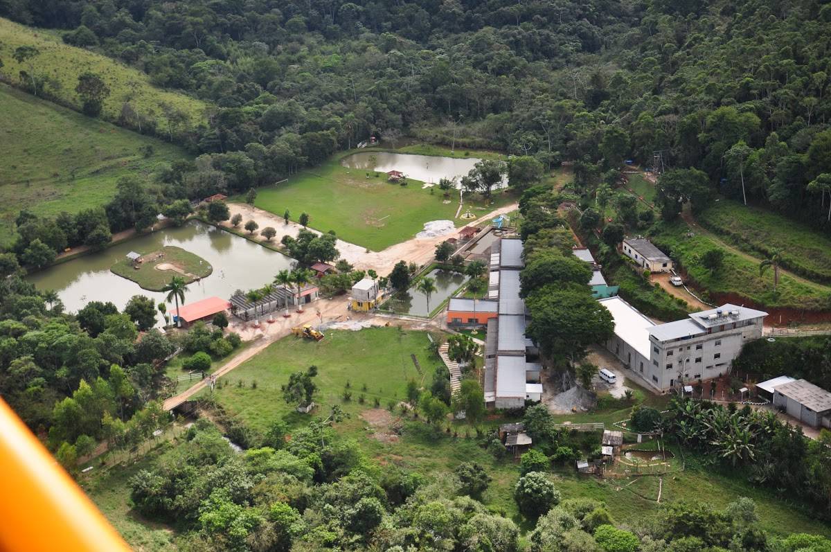 Registro de Marca Antônio Carlos