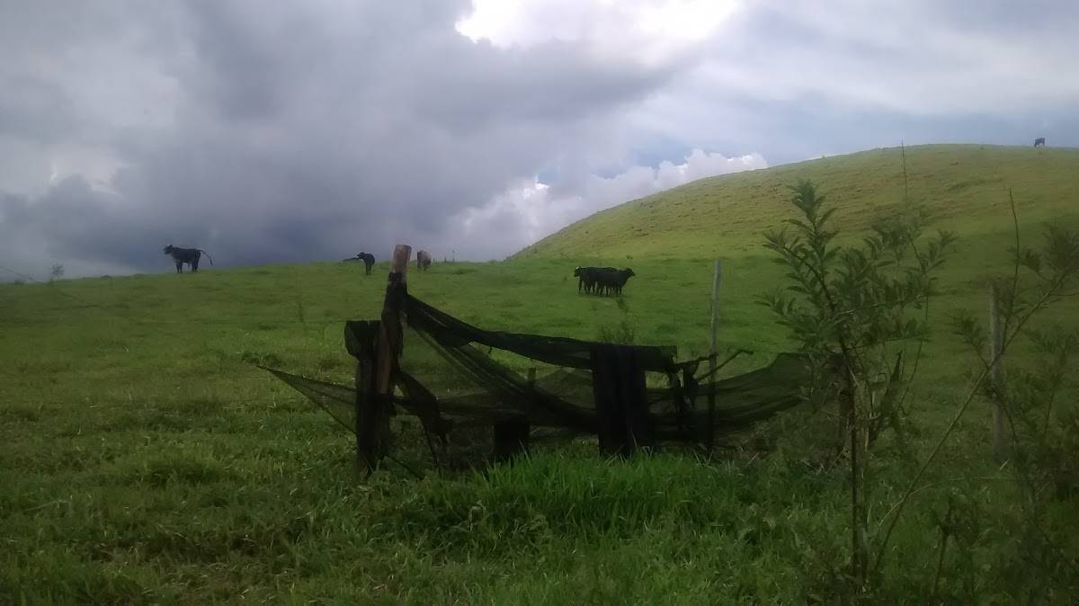 Registro de Marca Antônio Prado de Minas