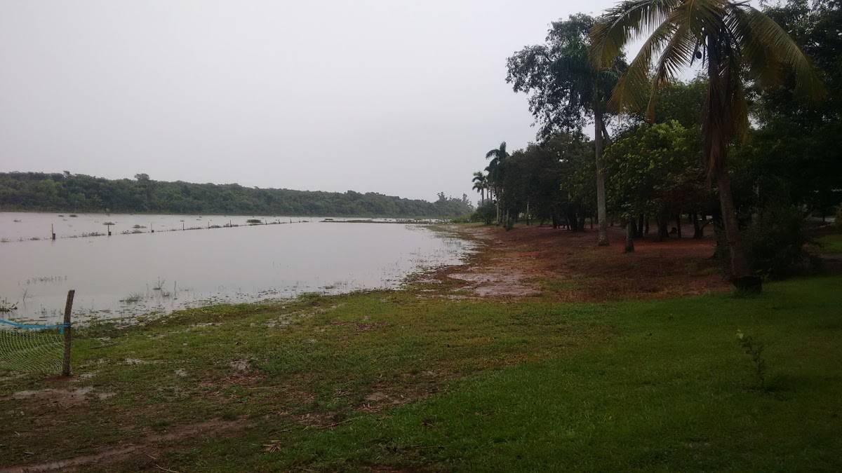 Registro de Marca Aparecida D'Oeste