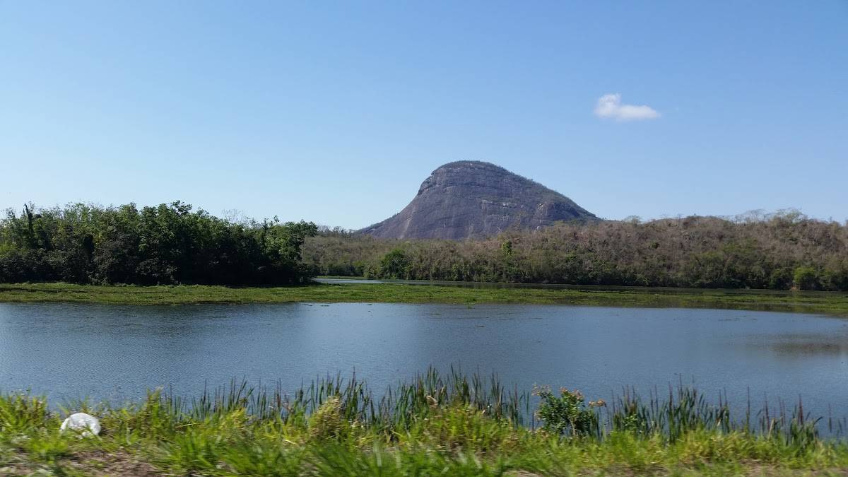 Registro de Marca Apiacá