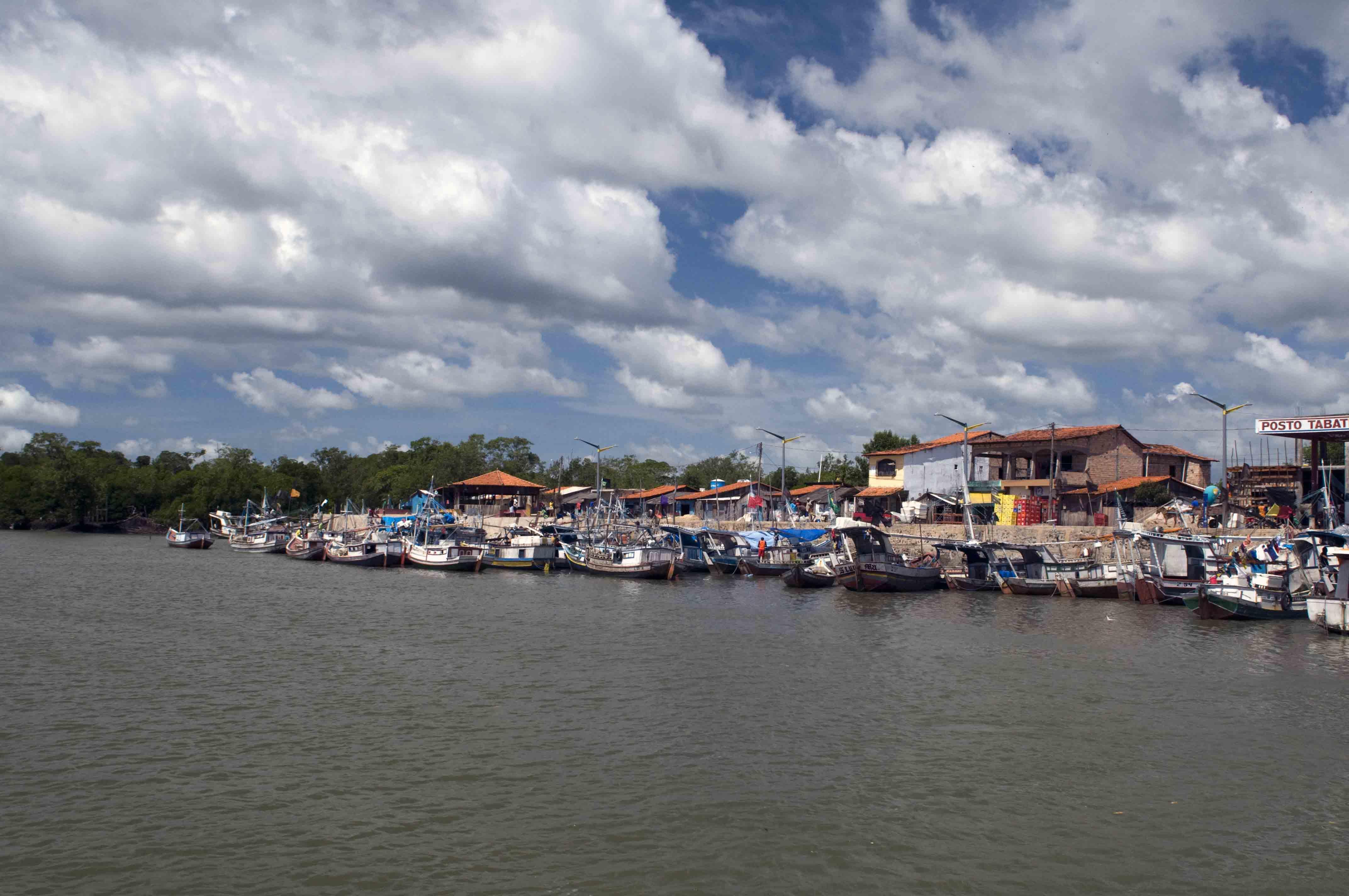 Registro de Marca Apicum-Açu