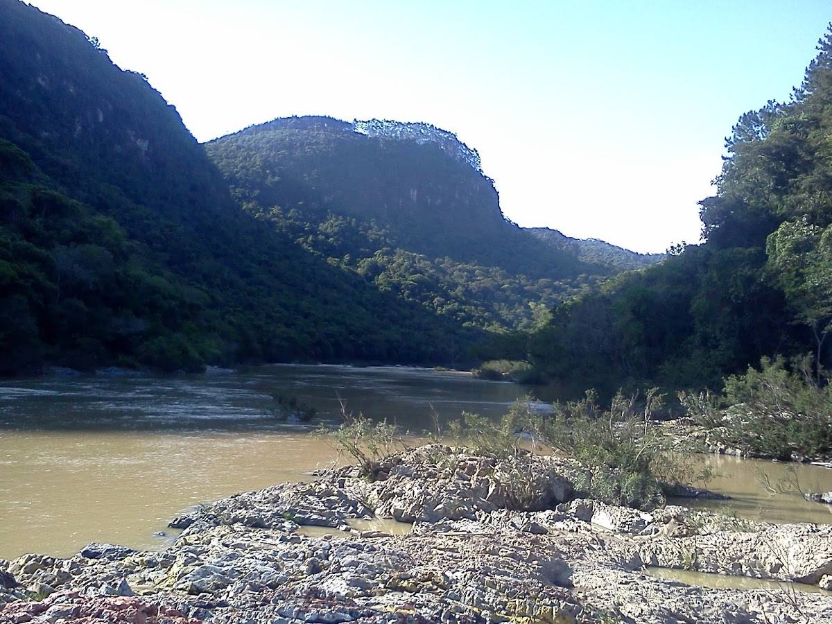 Registro de Marca Apiúna