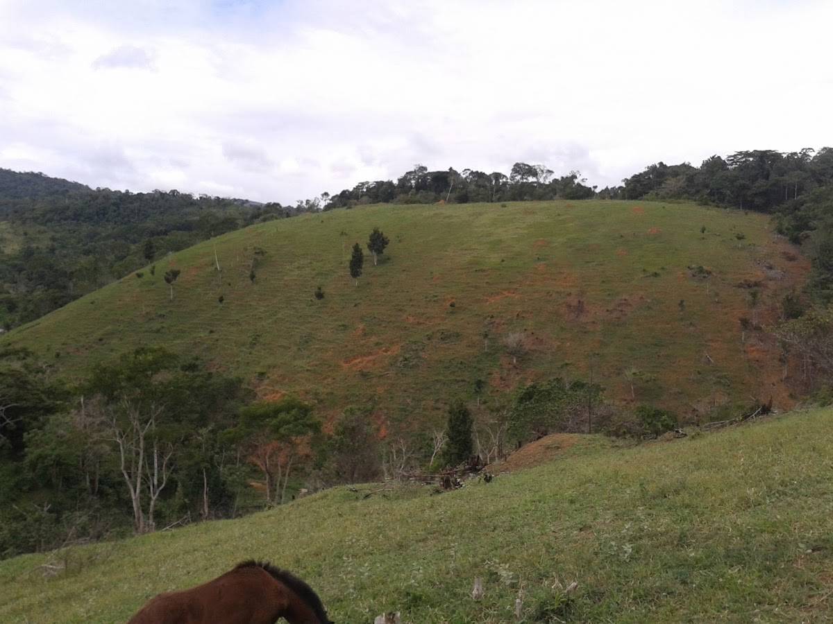 Registro de Marca Apuarema