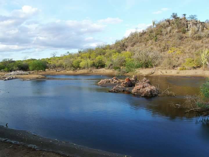 Registro de Marca Araci