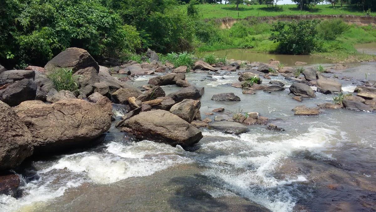 Registro de Marca Araçu