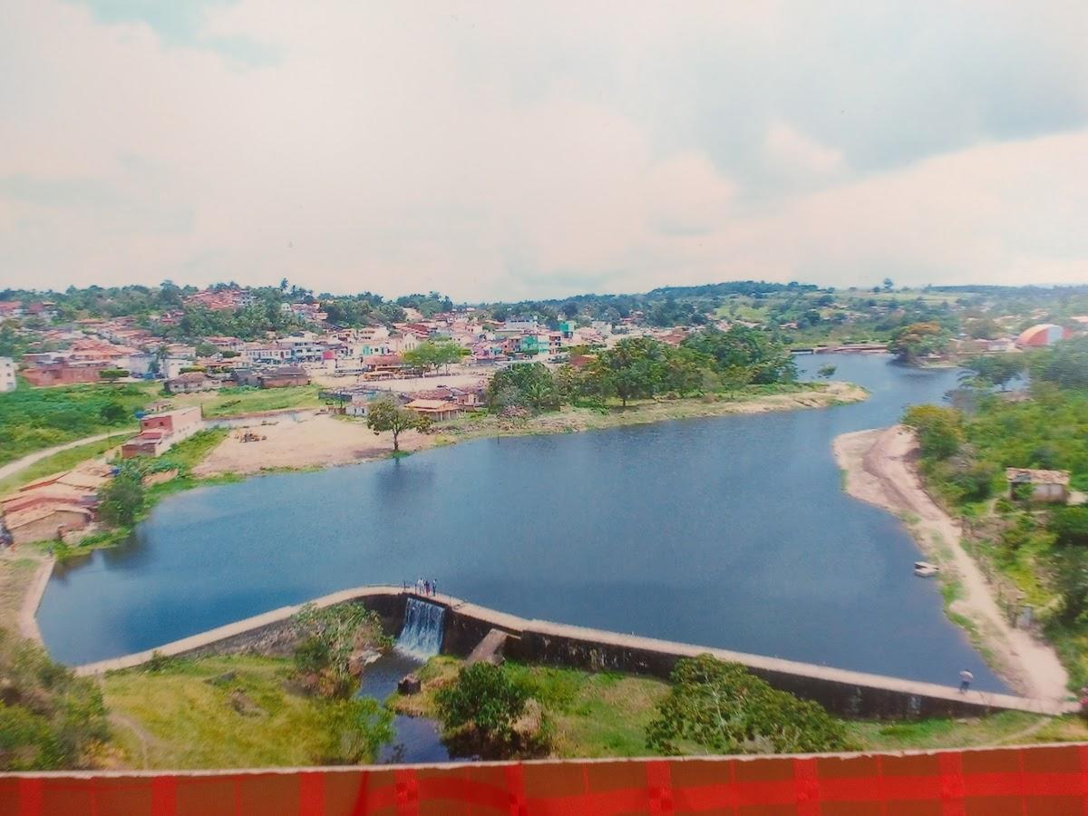 Registro de Marca Aramari