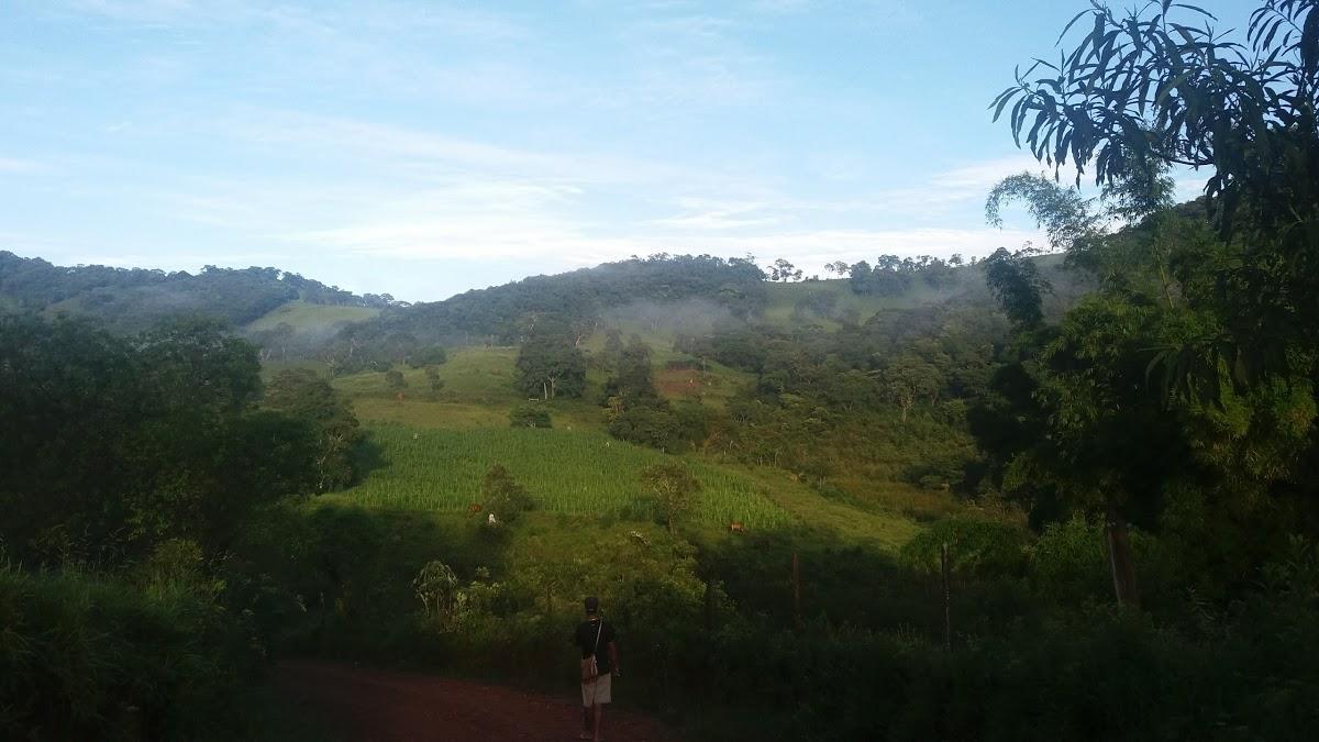 Registro de Marca Arantina