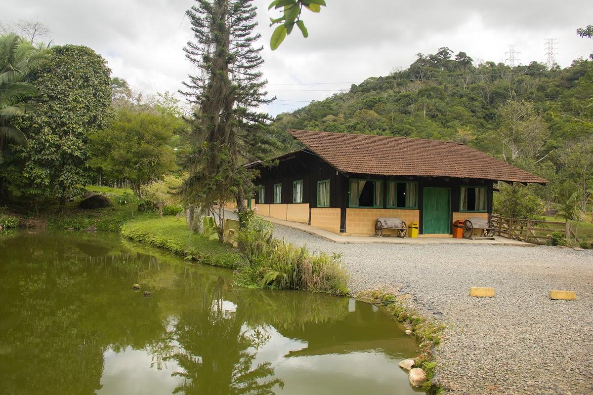 Registro de Marca Araquari