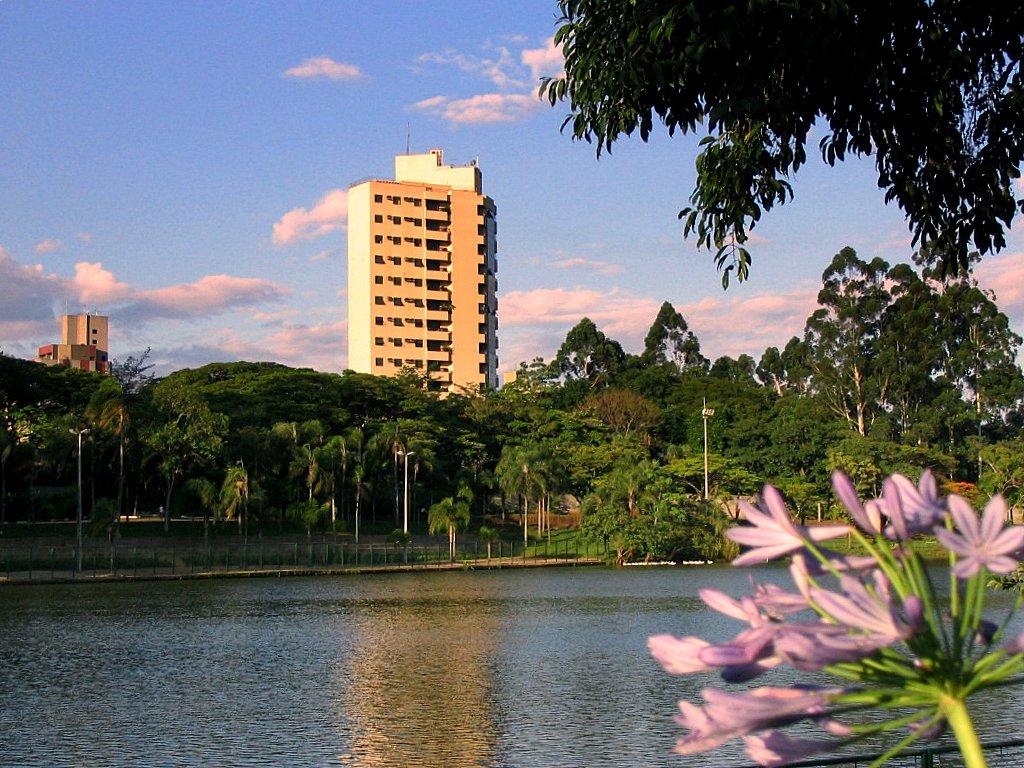 Registro de Marca Araras