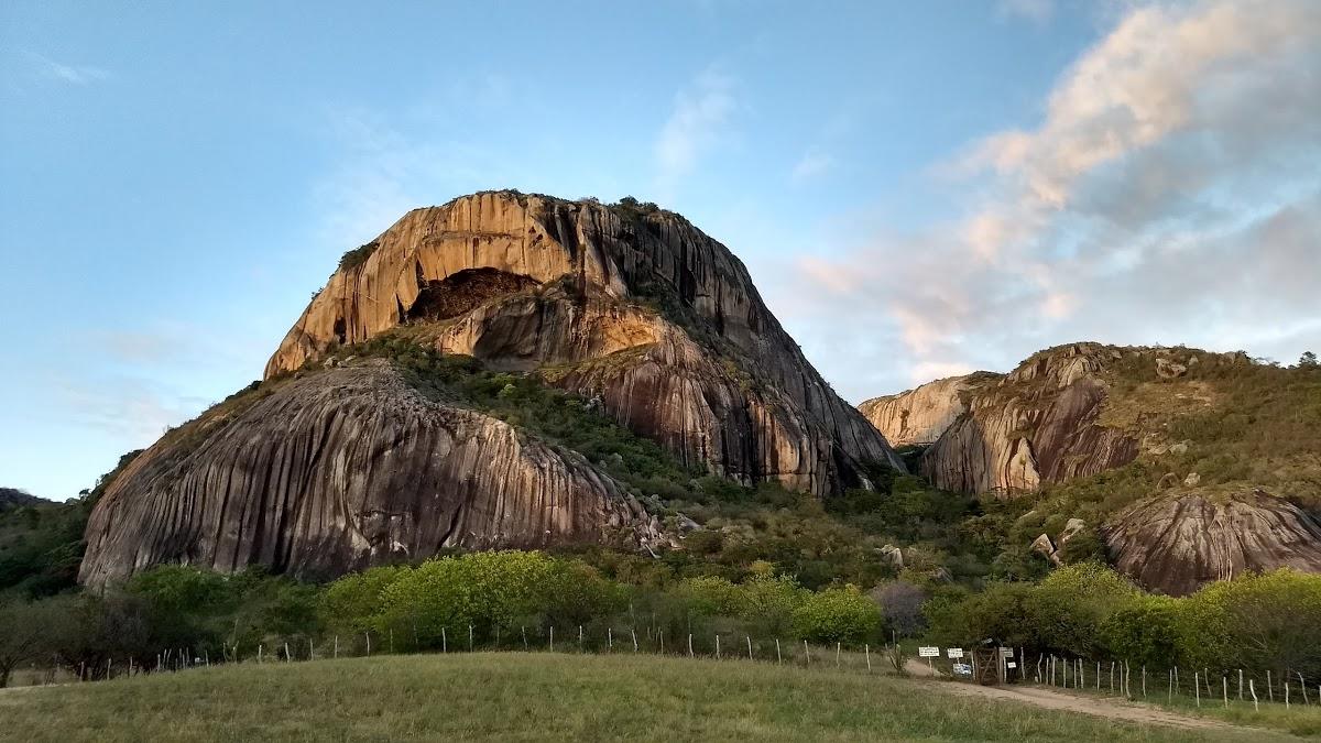 Registro de Marca Araruna