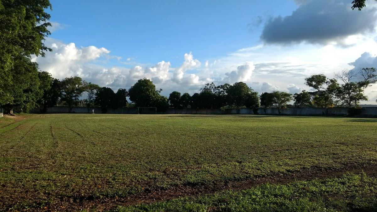 Registro de Marca Arauá
