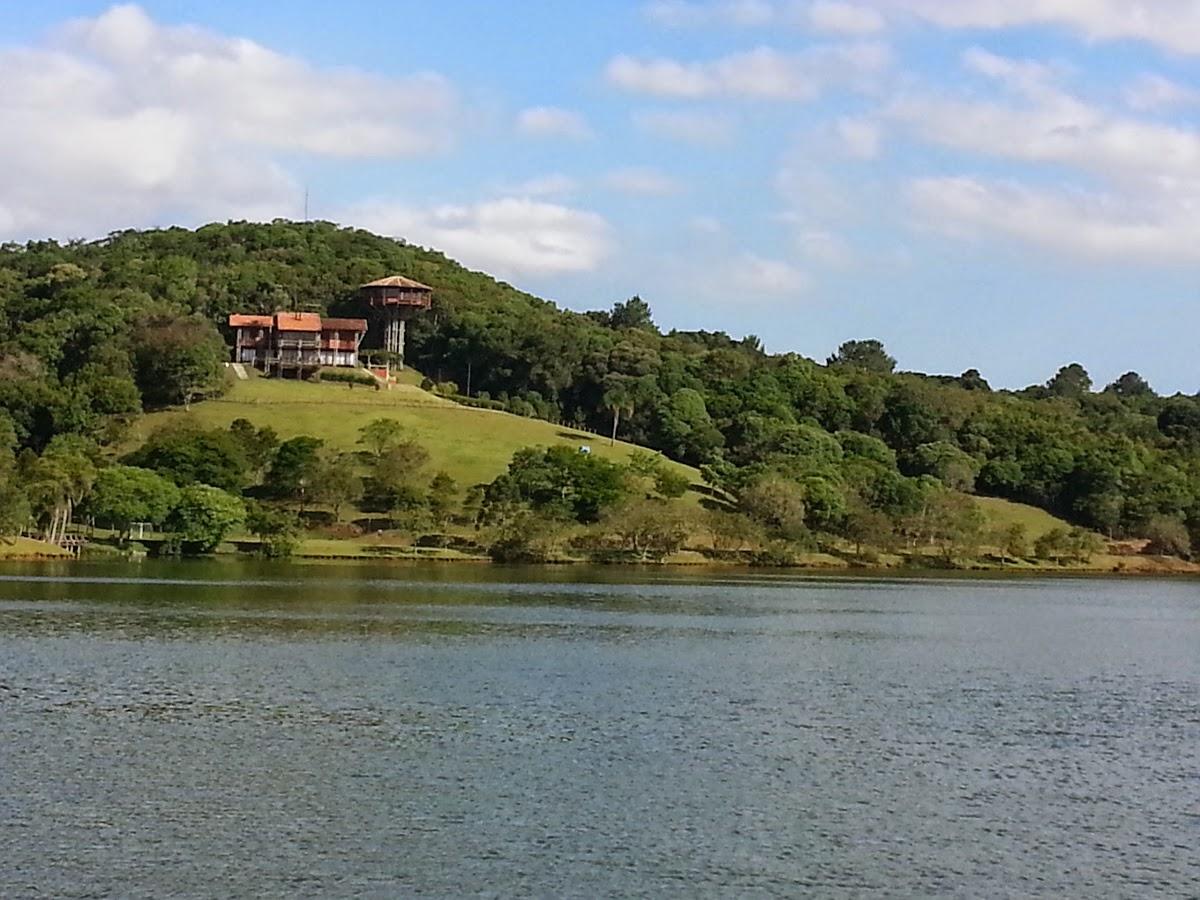 Registro de Marca Araucária