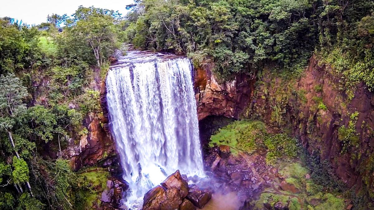Registro de Marca Ariranha do Ivaí