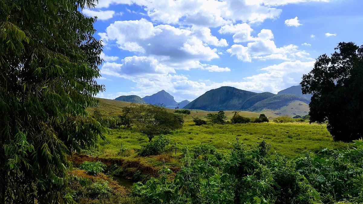 Registro de Marca Ataléia