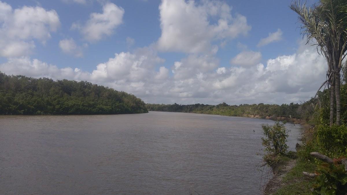 Registro de Marca Augusto Corrêa