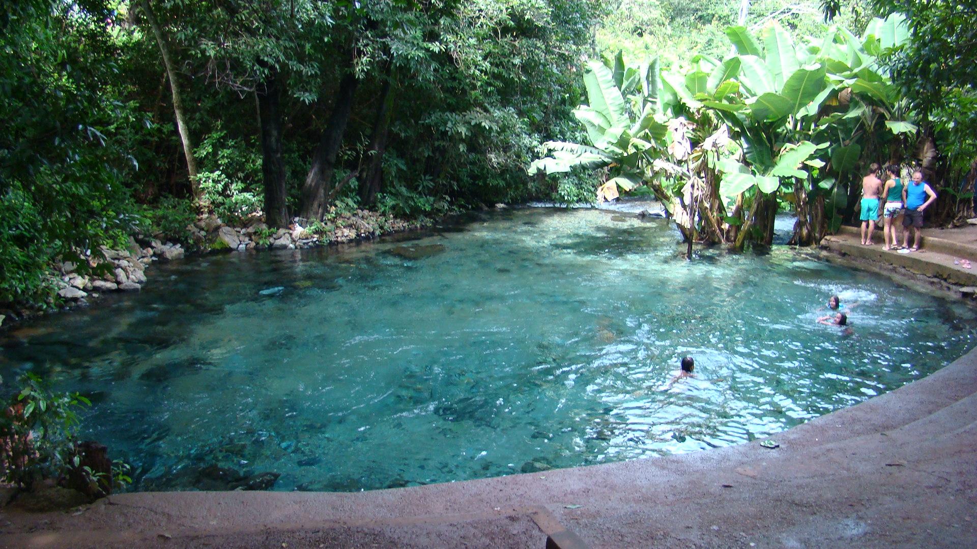 Registro de Marca Aurora do Tocantins