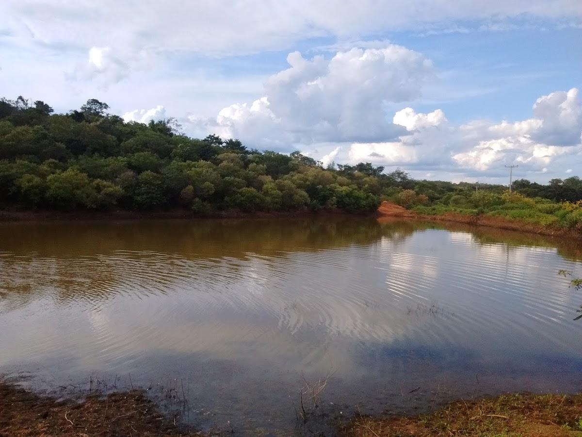 Registro de Marca Avelino Lopes