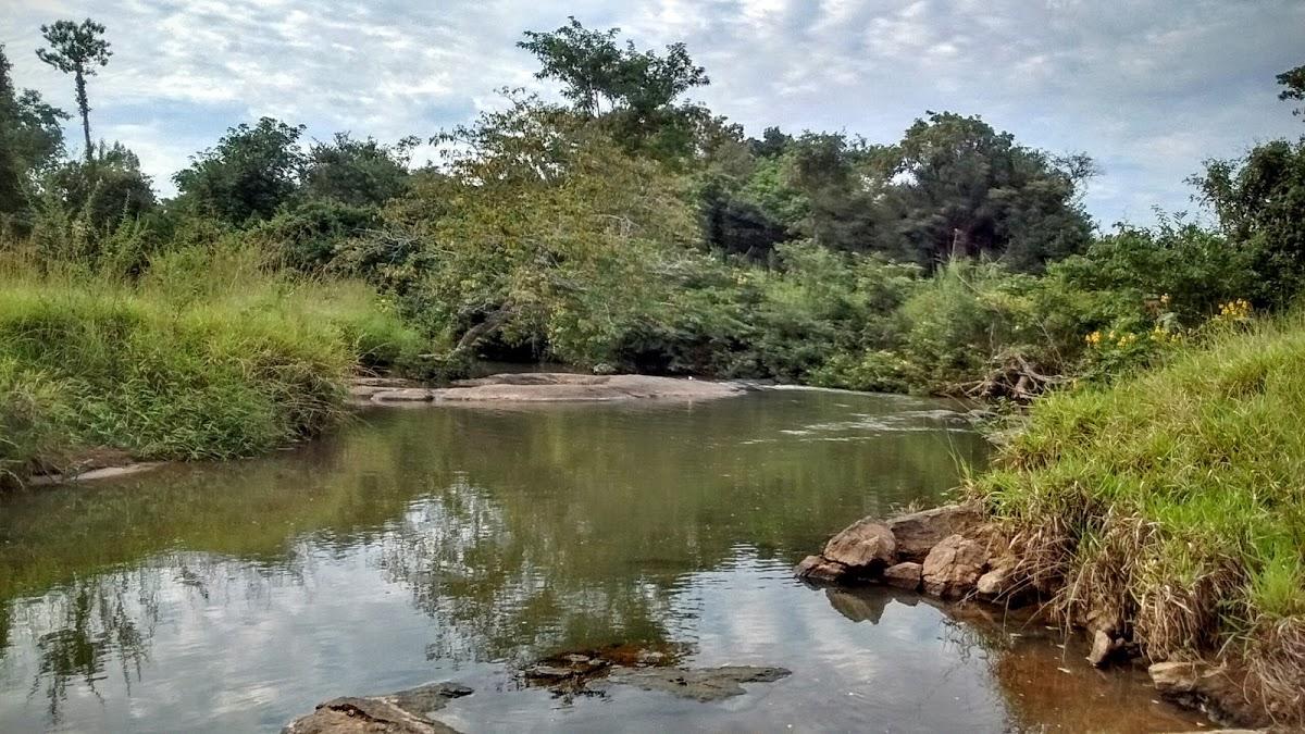 Registro de Marca Avelinópolis