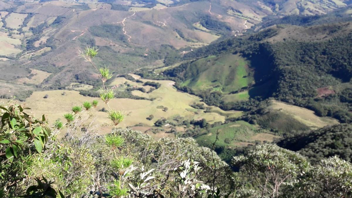 Registro de Marca Baependi