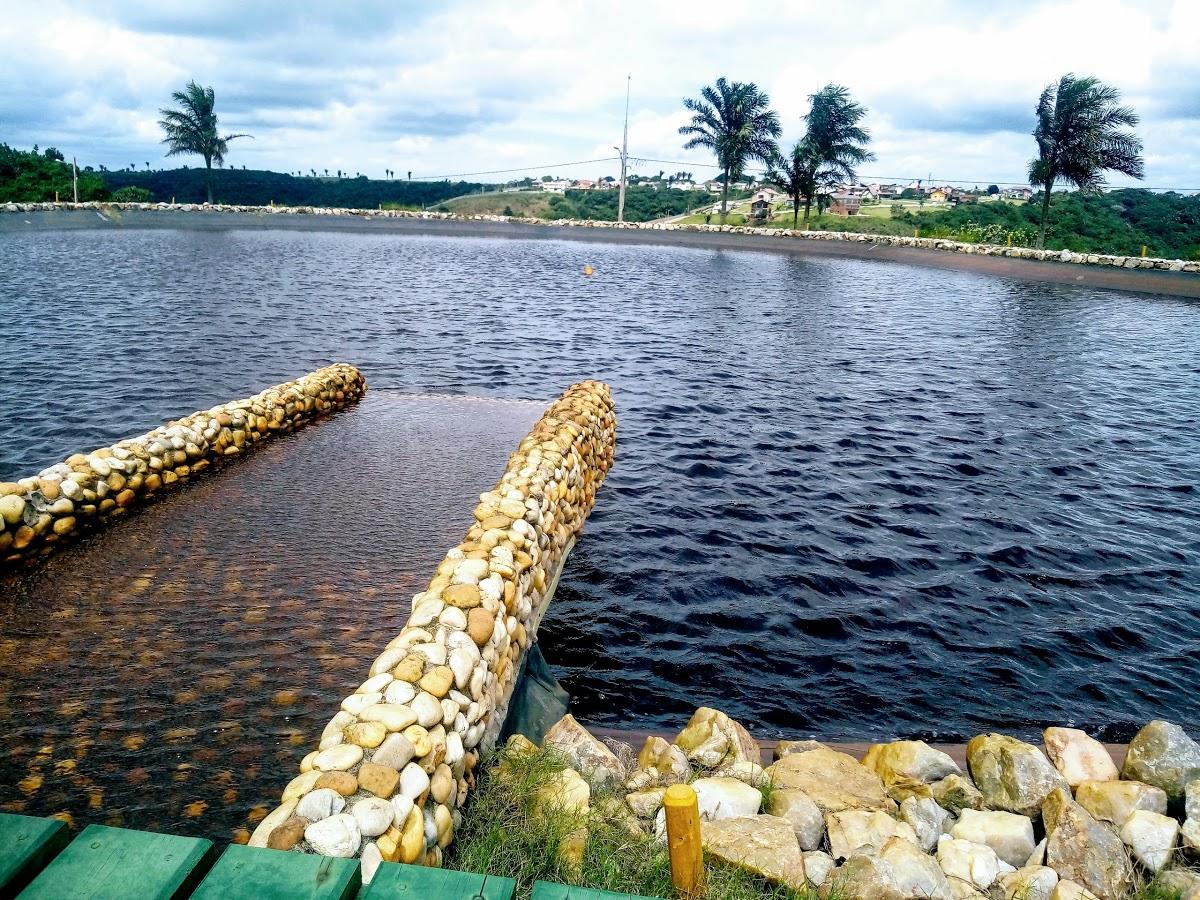 Registro de Marca Bananeiras