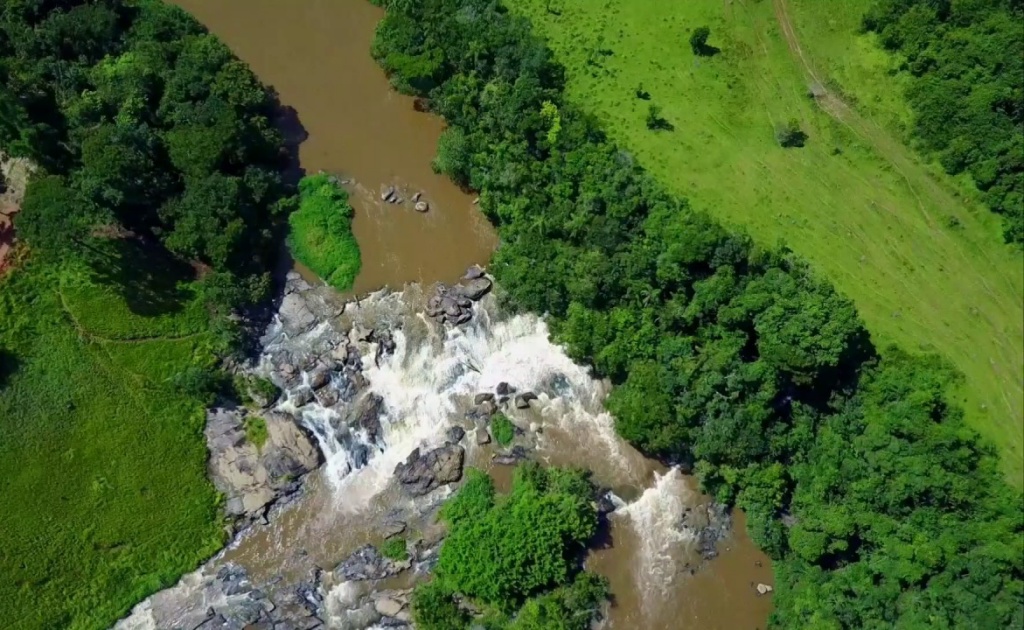 Registro de Marca Bandeira do Sul