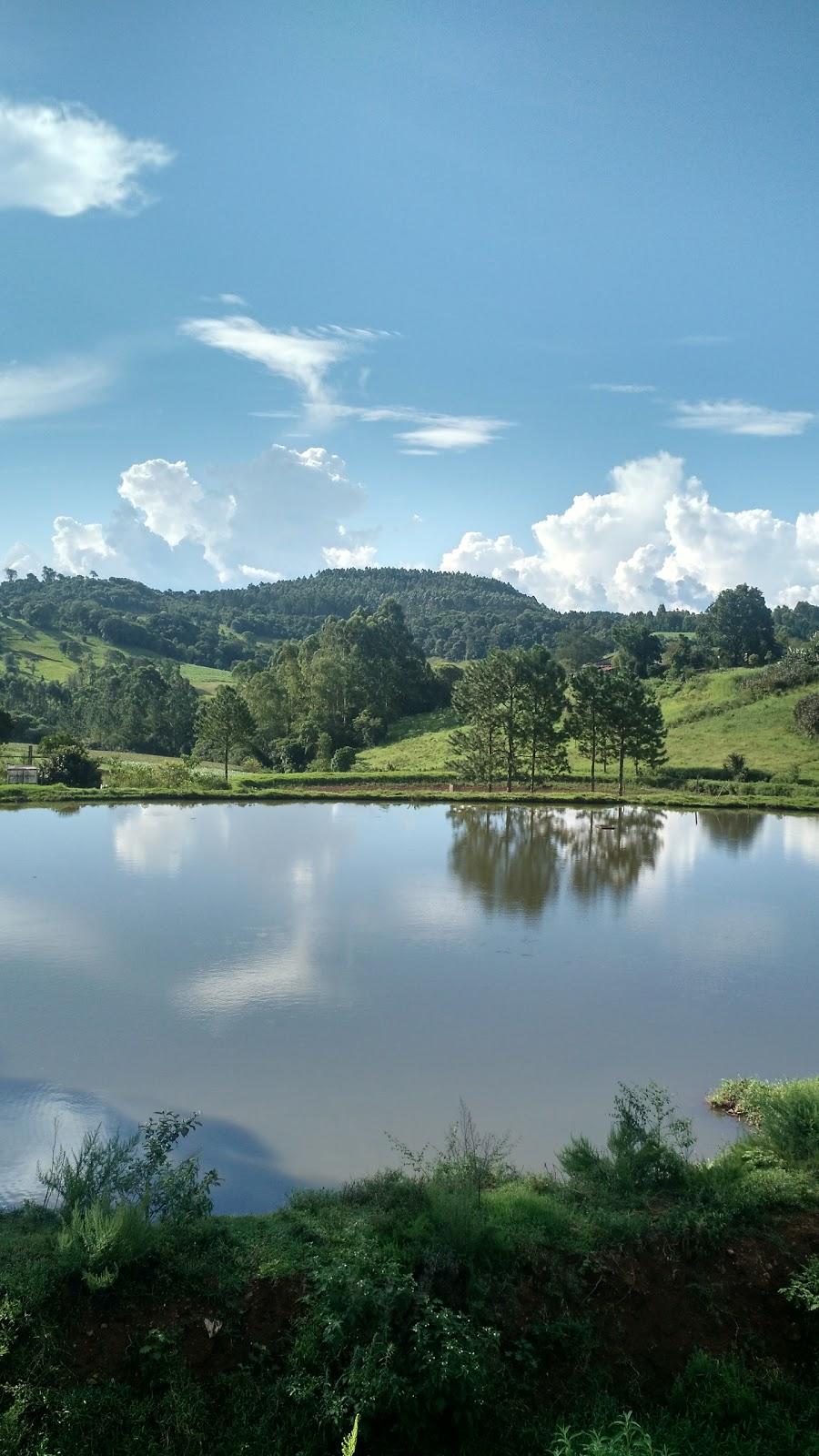 Registro de Marca Bandeirante