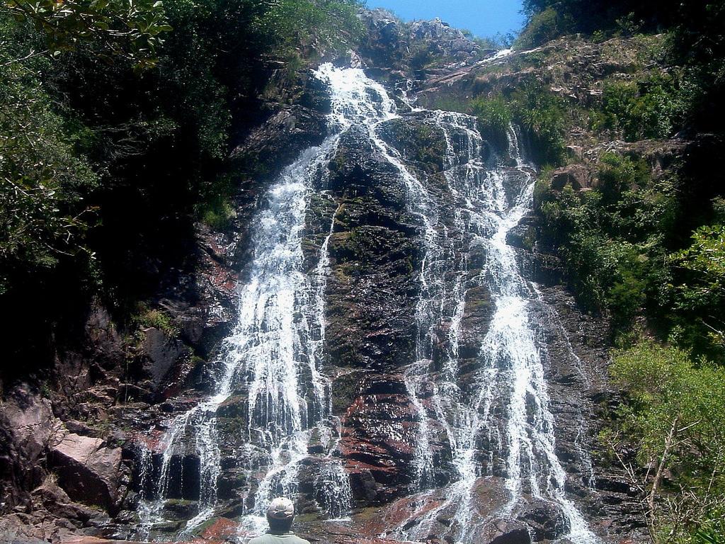 Registro de Marca Barão do Triunfo