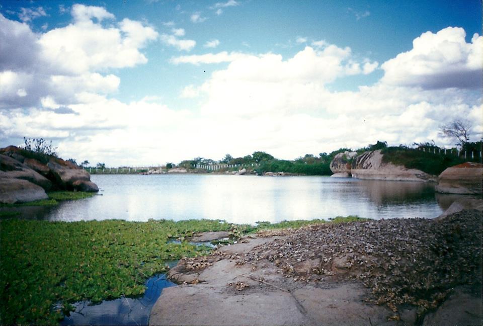 Registro de Marca Baraúna