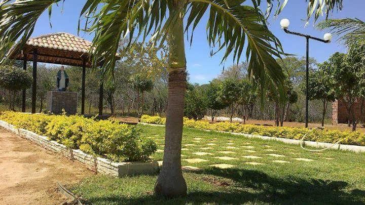 Registro de Marca Baraúna