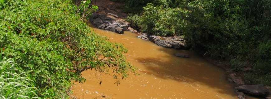 Registro de Marca Barra do Jacaré