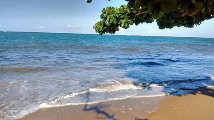 Registro de Marca Belmonte