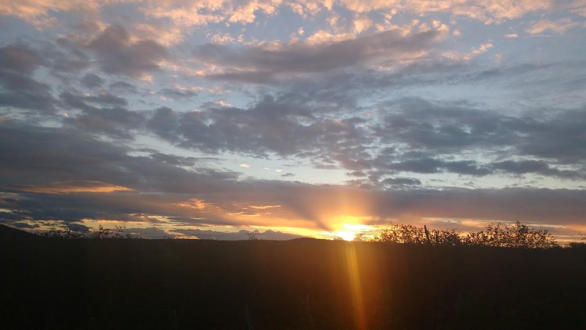 Registro de Marca Bento Fernandes